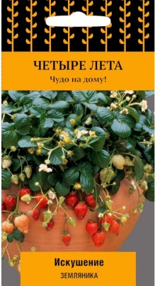 земляника чудо на дому